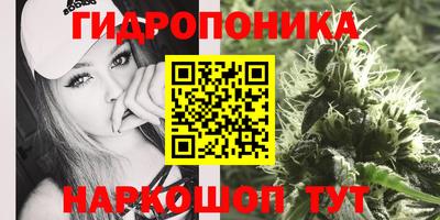 стаф Чебаркуль