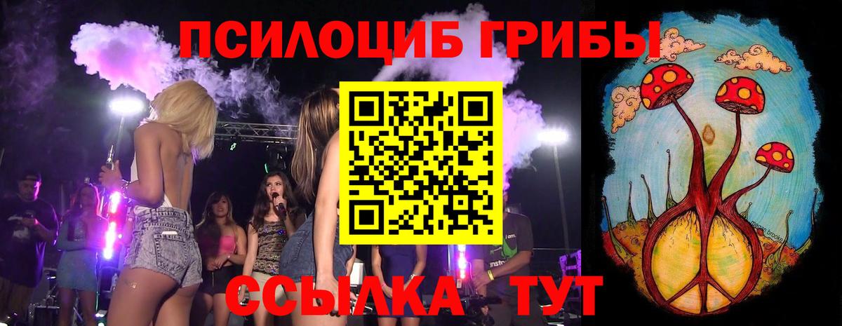 Ижевск  Псилоцибиновые грибы Psilocybe  Вход с VPN 